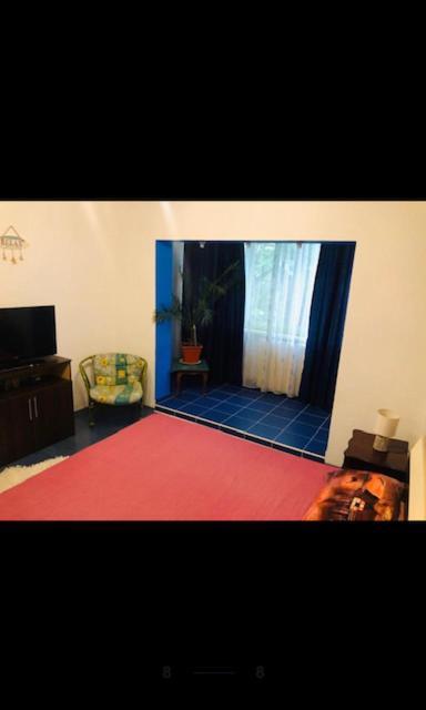 康斯坦察Wld House公寓 外观 照片