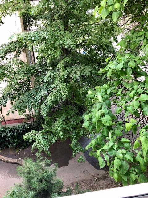 康斯坦察Wld House公寓 外观 照片